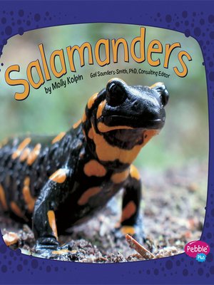 cover image of Salamanders
